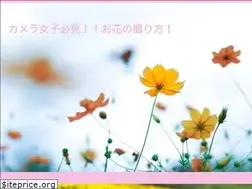Sites similar to snap-snap-flowers.com