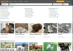 Sites similar to snautz.de
