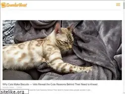 Sites similar to sneakertoast.com