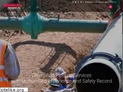Sites similar to snelsonco.com