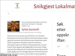 Sites similar to snikgjest.com