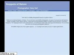 Sites similar to snippetsofnature.com