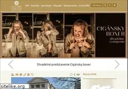 Sites similar to snm.sk