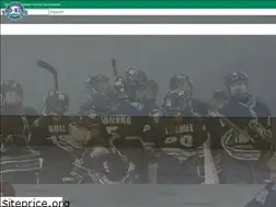 Sites similar to snokinghockey.com
