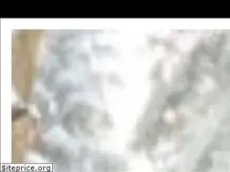 Sites similar to snowboardquebec.com