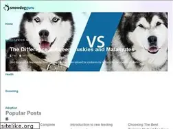 Sites similar to snowdog.guru