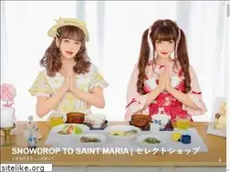 Sites similar to snowdroptosaintmaria.com