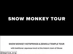 Sites similar to snowmonkeytour.com
