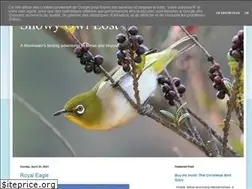 Sites similar to snowyowllost.blogspot.com