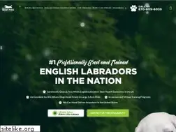 Sites similar to snowypineswhitelabs.com