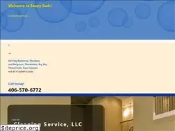 Sites similar to soapysudscleaningservice.com