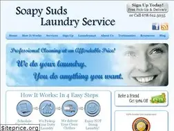Sites similar to soapysudslaundryservice.com