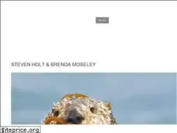 Sites similar to soaringseal.com