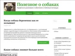 Sites similar to sobakakusaka.ru
