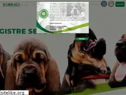 Sites similar to sobraci.com.br