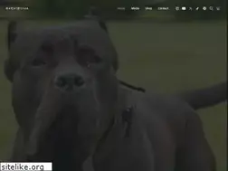 Sites similar to socalpresa.com