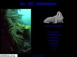 Sites similar to socalunderwater.com