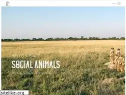 Sites similar to socialanimals.pt