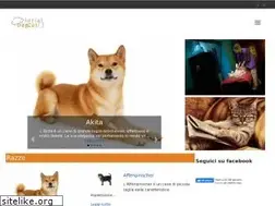Sites similar to socialdogcat.com
