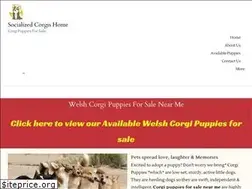 Sites similar to socializedcorgishome.com