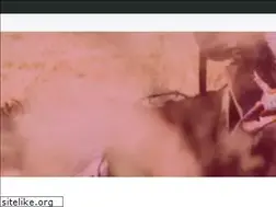 Sites similar to socialspel.nl
