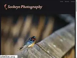 Sites similar to sockeyephotography.com