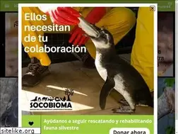 Sites similar to socobioma.org