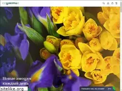 Sites similar to socvetie.info