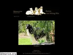 Sites similar to soelring-hues.de