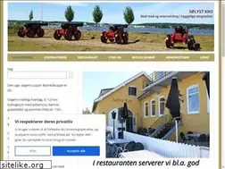 Sites similar to soelystkro.dk