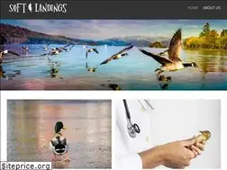 Sites similar to softlandingstn.com
