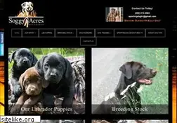 Sites similar to soggyacres.com
