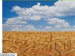 Sites similar to soil-biotics.com