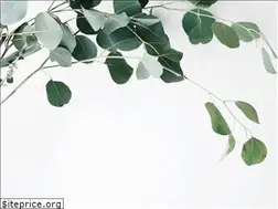 Sites similar to sokratesberlin.de