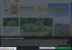 Sites similar to sokszinuvidek.hu