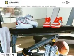 Sites similar to soleacademy.net