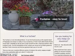 Sites similar to solentfuchsia.co.uk