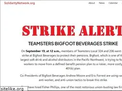 Sites similar to solidaritynetwork.org