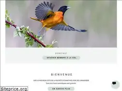 Sites similar to sollanaudiere.com