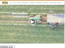 Sites similar to solmelons.com