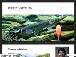 Sites similar to solomondavid.net