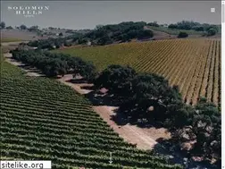 Sites similar to solomonhillsvineyards.com