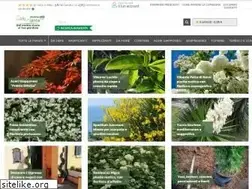 Sites similar to solopiante.it