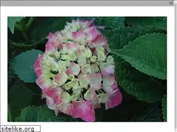 Sites similar to solowdesigngroup.com