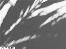 Sites similar to soltrakierland.com