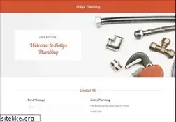 Sites similar to soltysplumbing.com