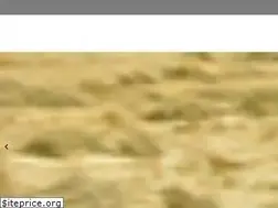 Sites similar to solub.com.mx