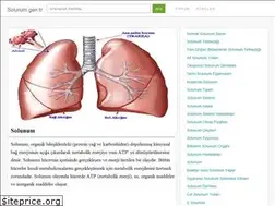 Sites similar to solunum.gen.tr