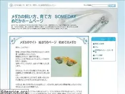 Sites similar to somedaymedaka.com