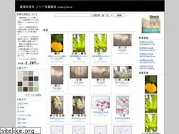 Sites similar to somephoto.net